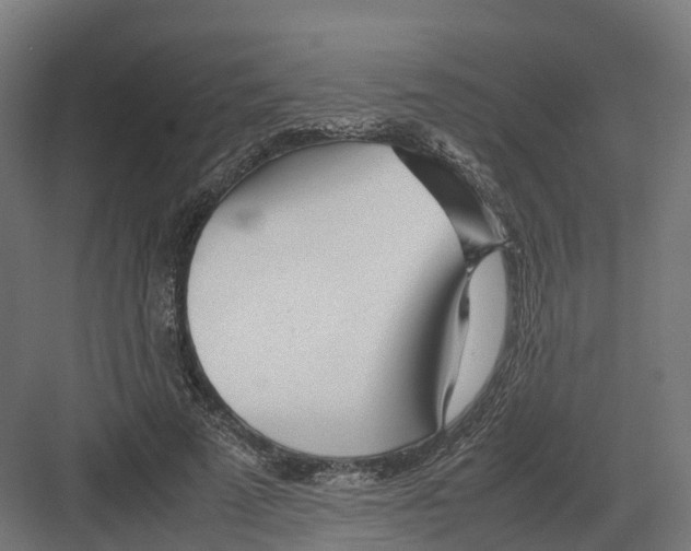 X0000082140689200702162143