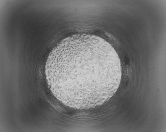 X0000082140691200702162143