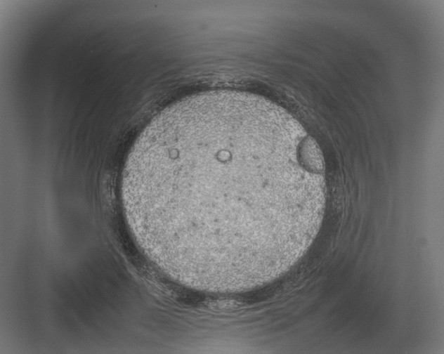 X0000082140695200702162143