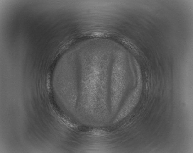 X0000082140696200702162143