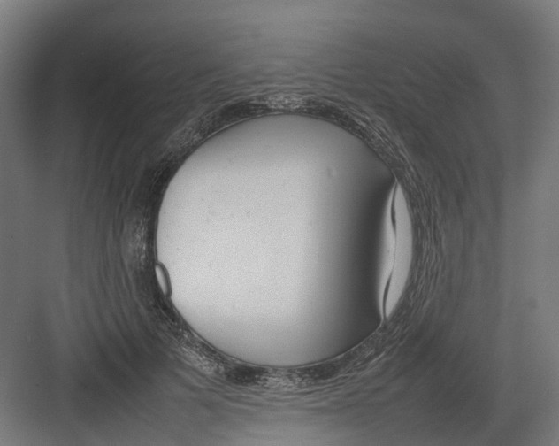 X0000082140697200702162143