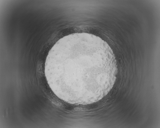 X0000082140699200702162143