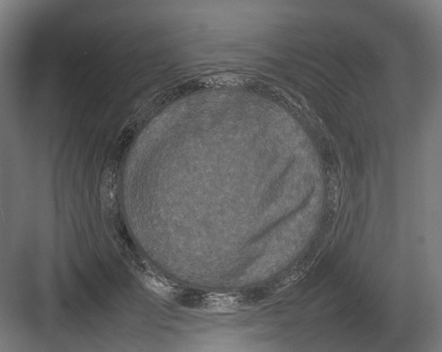 X0000082140701200702162143