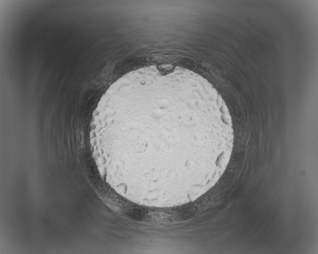 X0000082140703200702162143