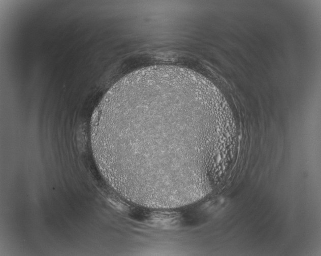 X0000082140707200702162143