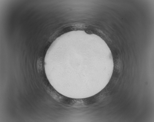 X0000082140715200702162143