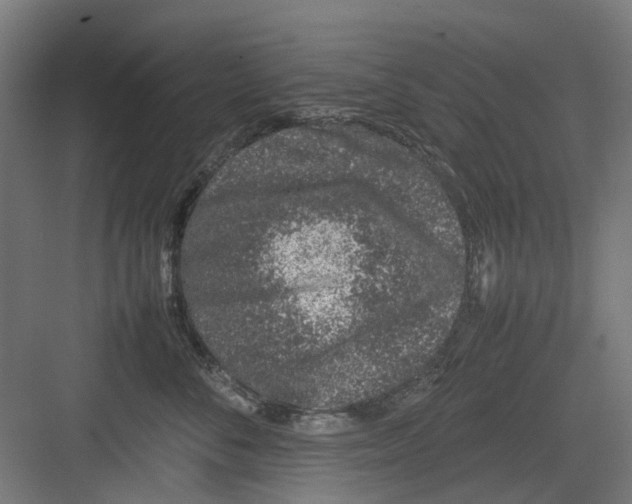 X0000082140716200702162143