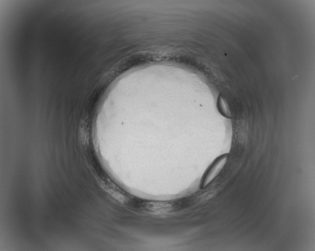 X0000082140719200702162142