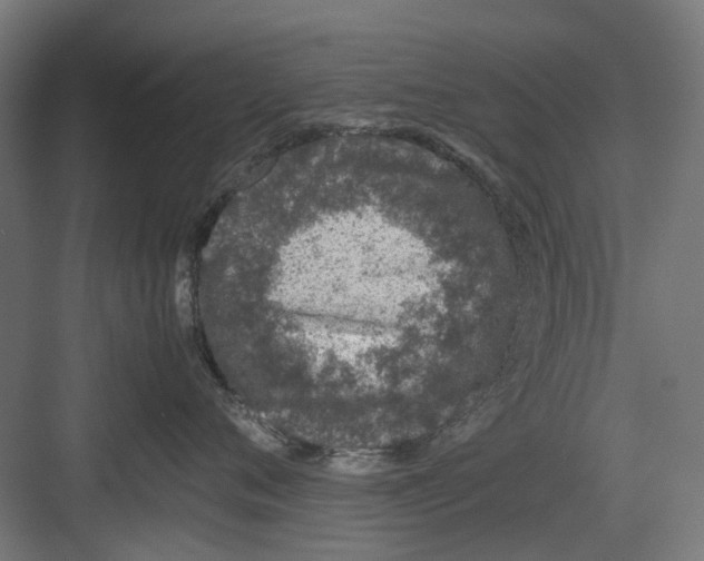 X0000082140720200702162142