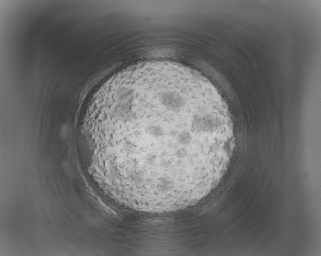 X0000082140721200702162142