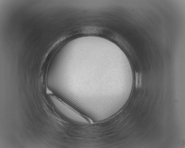 X0000082140723200702162142