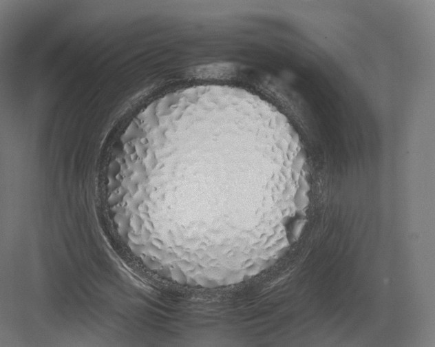 X0000082140725200702162142