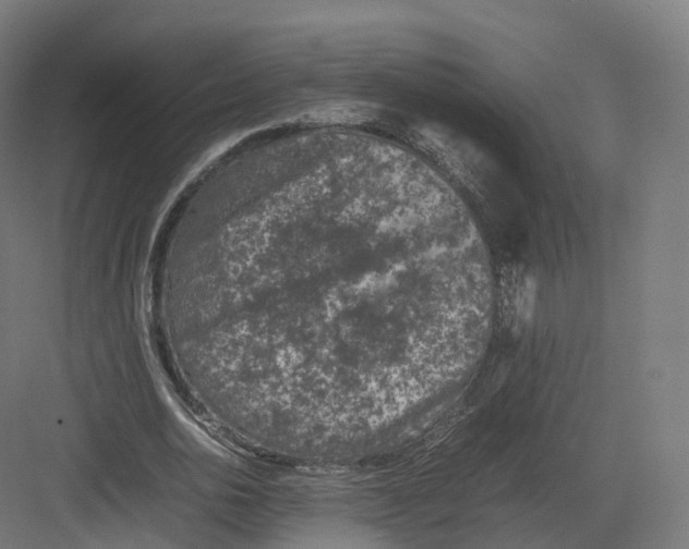 X0000082140726200702162142