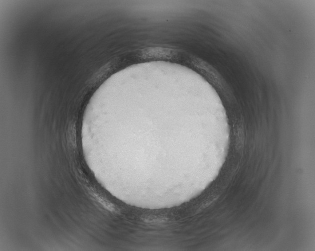 X0000082140729200702162142