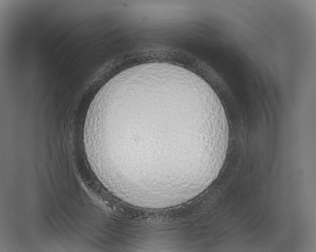 X0000082140730200702162142