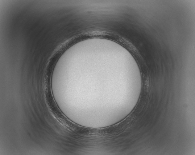 X0000082140732200702162142