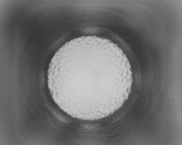 X0000082140733200702162142