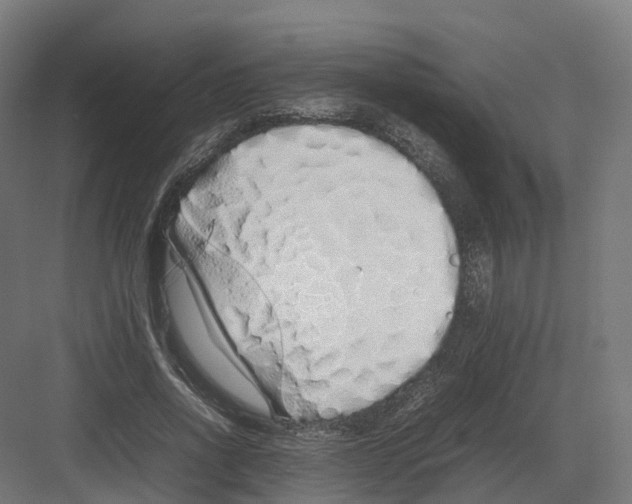 X0000082140734200702162142