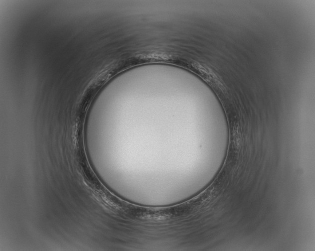 X0000082140735200702162142