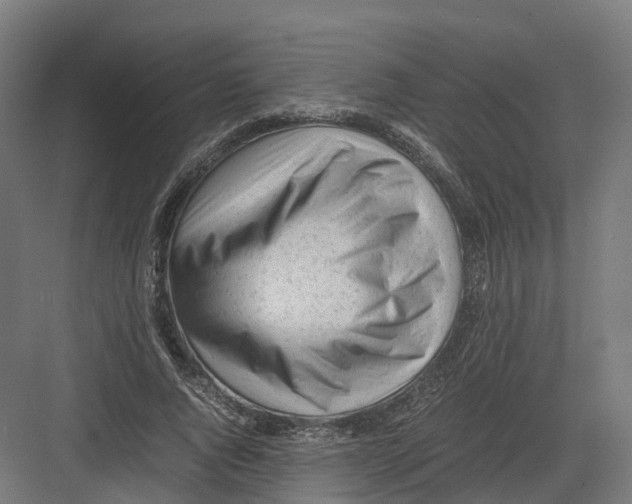 X0000082140736200702162142