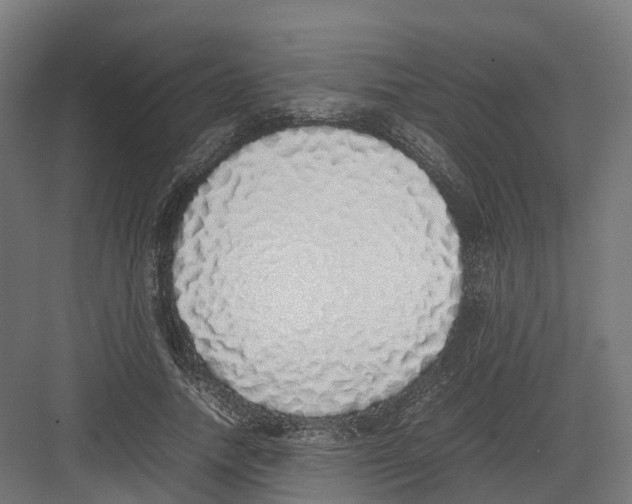 X0000082140738200702162142