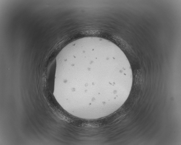 X0000082140739200702162142