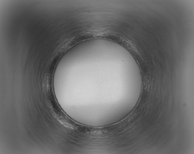 X0000082140740200702162142