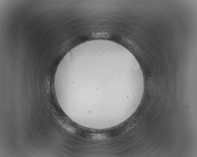 X0000082140741200702162142