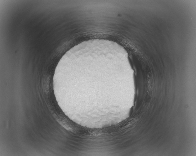 X0000082140742200702162142