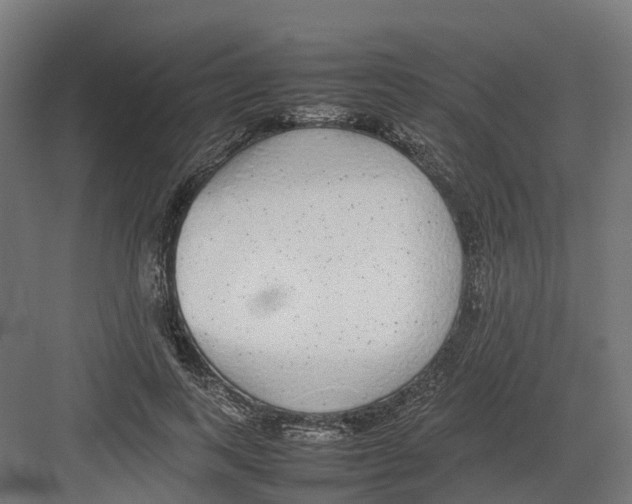 X0000082140743200702162142