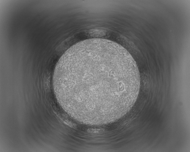 X0000082140745200702162142