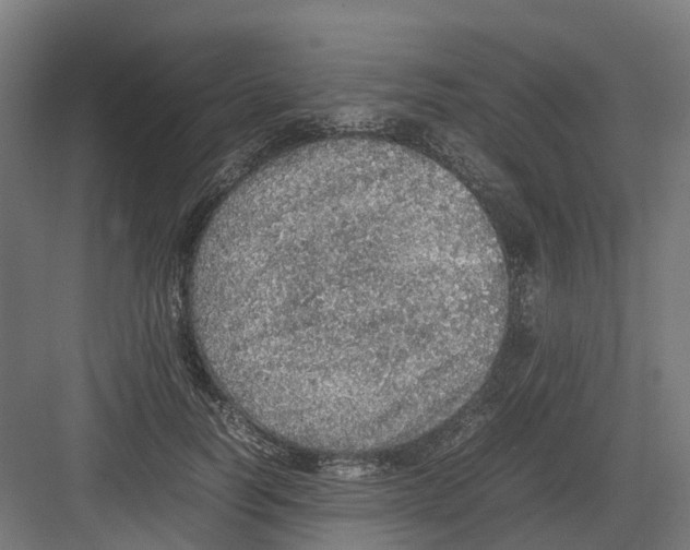 X0000082140746200702162142