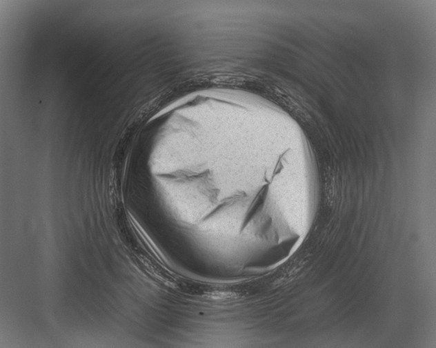 X0000082140748200702162142