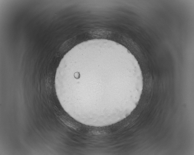 X0000082140749200702162142