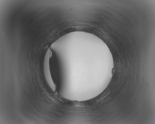 X0000082140750200702162142