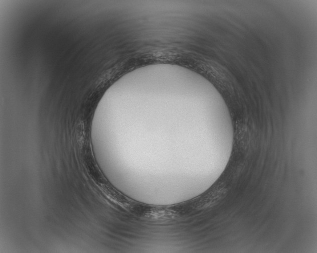 X0000082140752200702162142