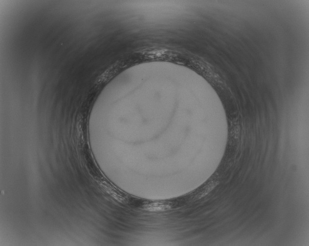 X0000082140754200702162142