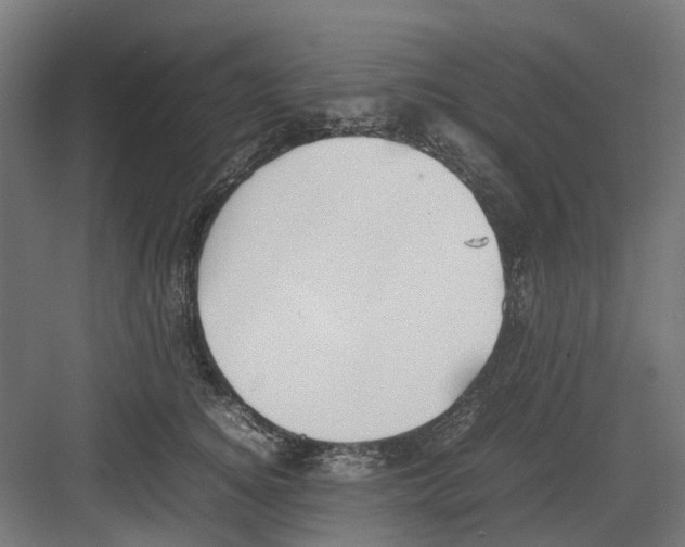 X0000082140756200702162142