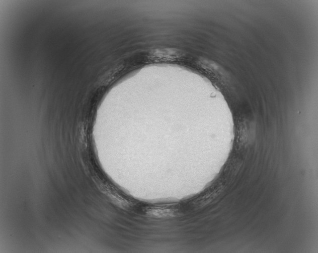 X0000082140759200702162142