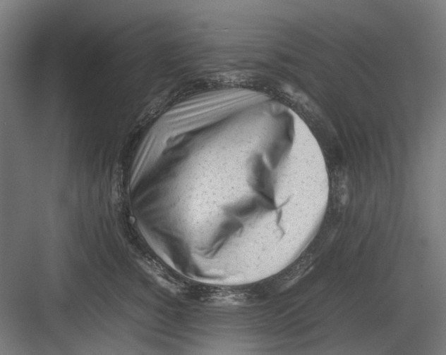 X0000082140760200702162142