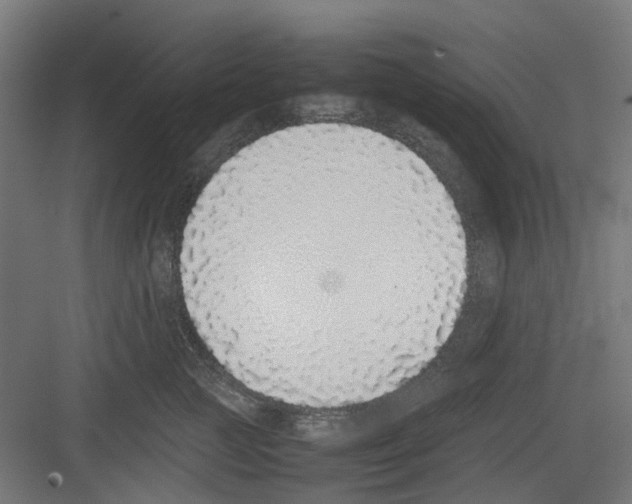 X0000082140761200702162142