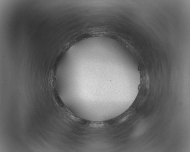 X0000082140767200702162142