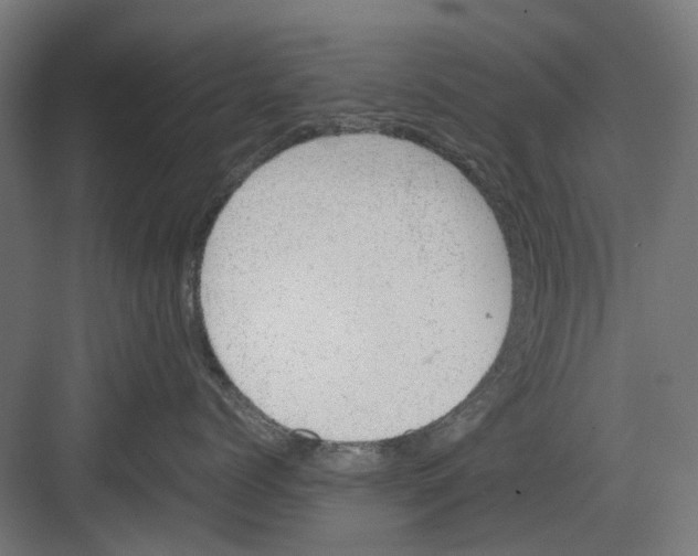 X0000082140768200702162142