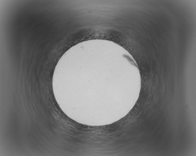 X0000082140769200702162142