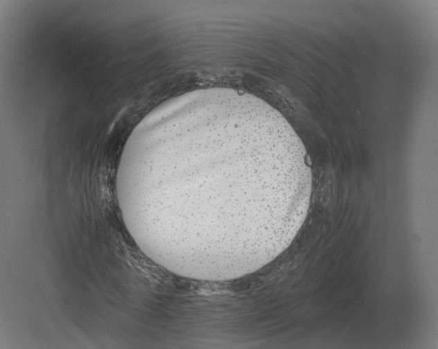 X0000082140770200702162142