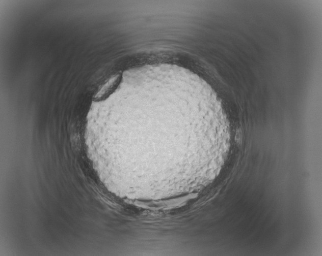 X0000082140771200702162142