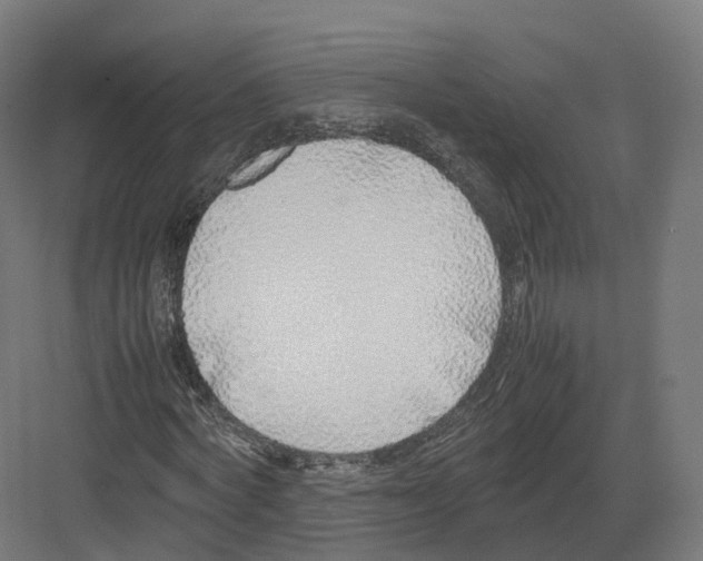 X0000082140772200702162142