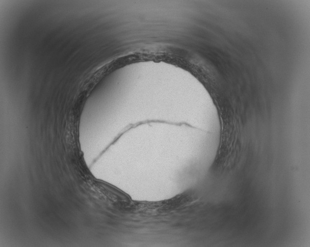 X0000082140773200702162142