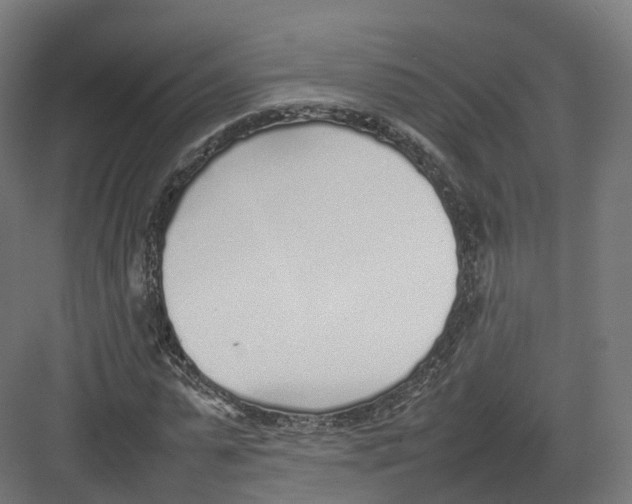 X0000082140775200702162142