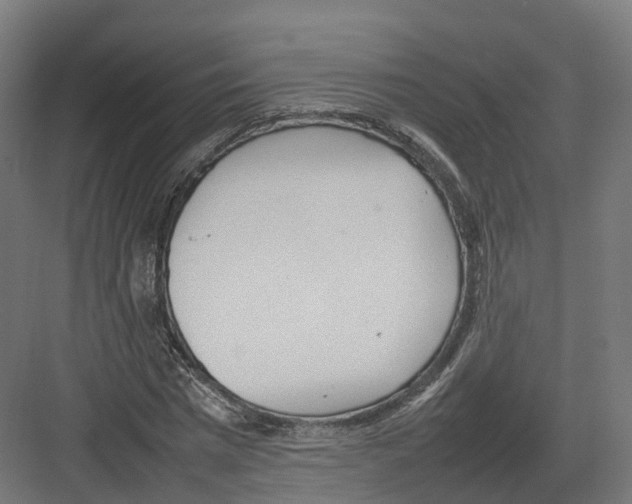 X0000082140777200702162142